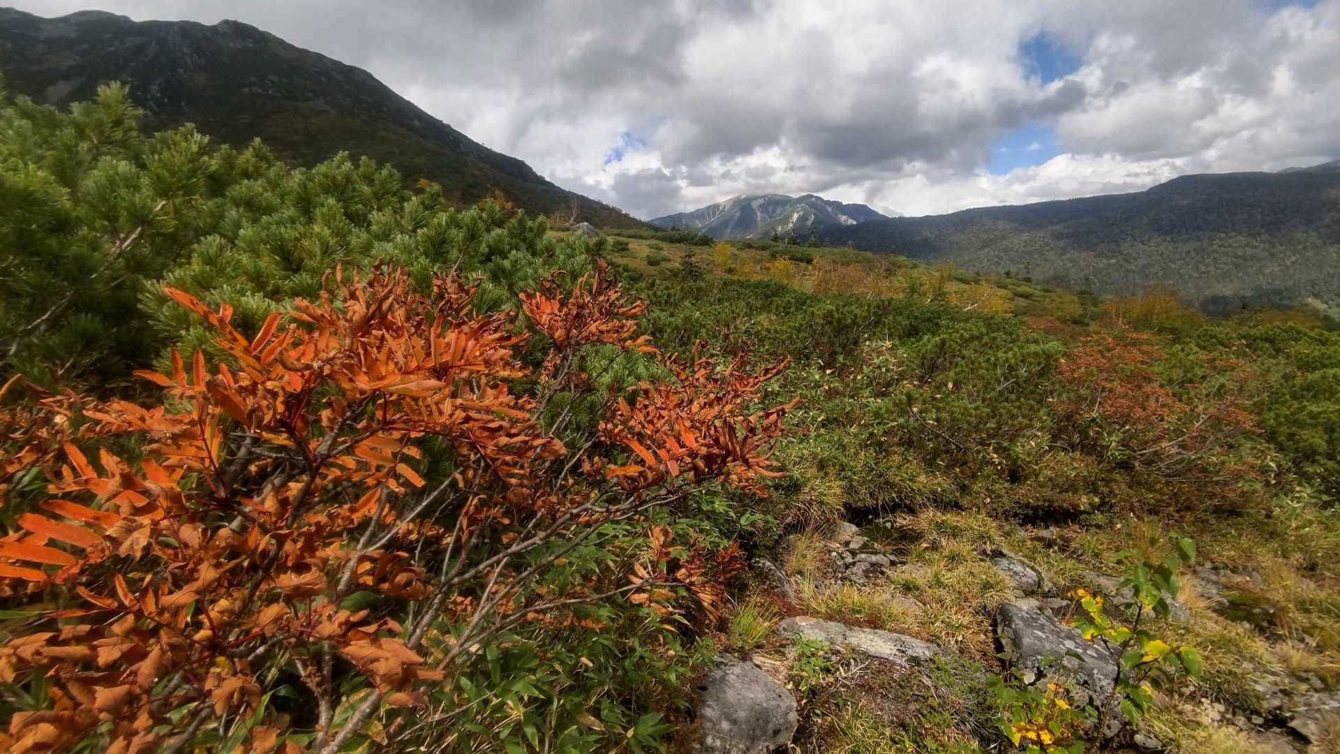 あとは本日の宿まで紅葉を楽しみつつトコトコ👣
けして立山の方は晴れててイイな〜とか思ったりもしてないですよ(´；ω；｀)