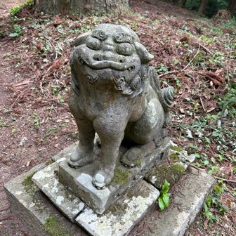 吽行
本当に可愛い