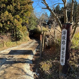 湯坂道出ました。
道路に出て少し上ると湯坂路バス停があります。