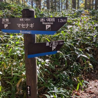 マセナギまで下山