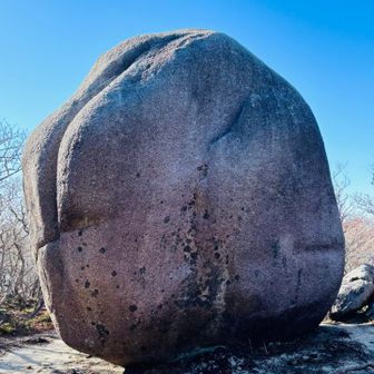 桃岩🍑　デカい！  どこからきた？