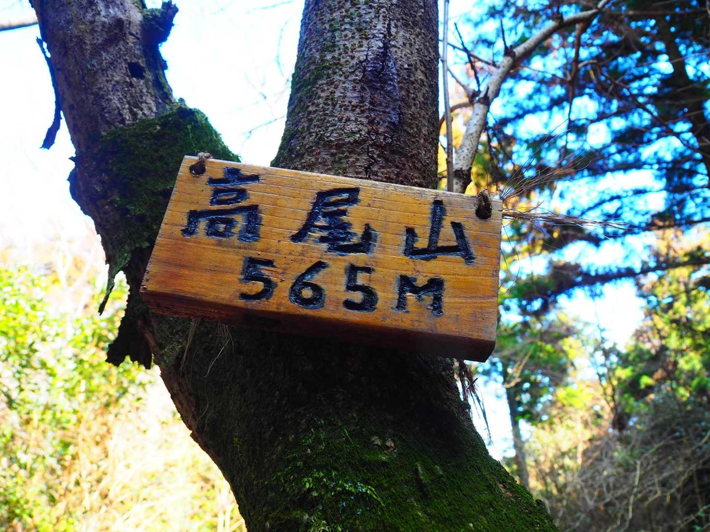 倉真温泉バス停-粟ヶ岳-高塚山-岳山-岳山 登山口 周回コースの写真