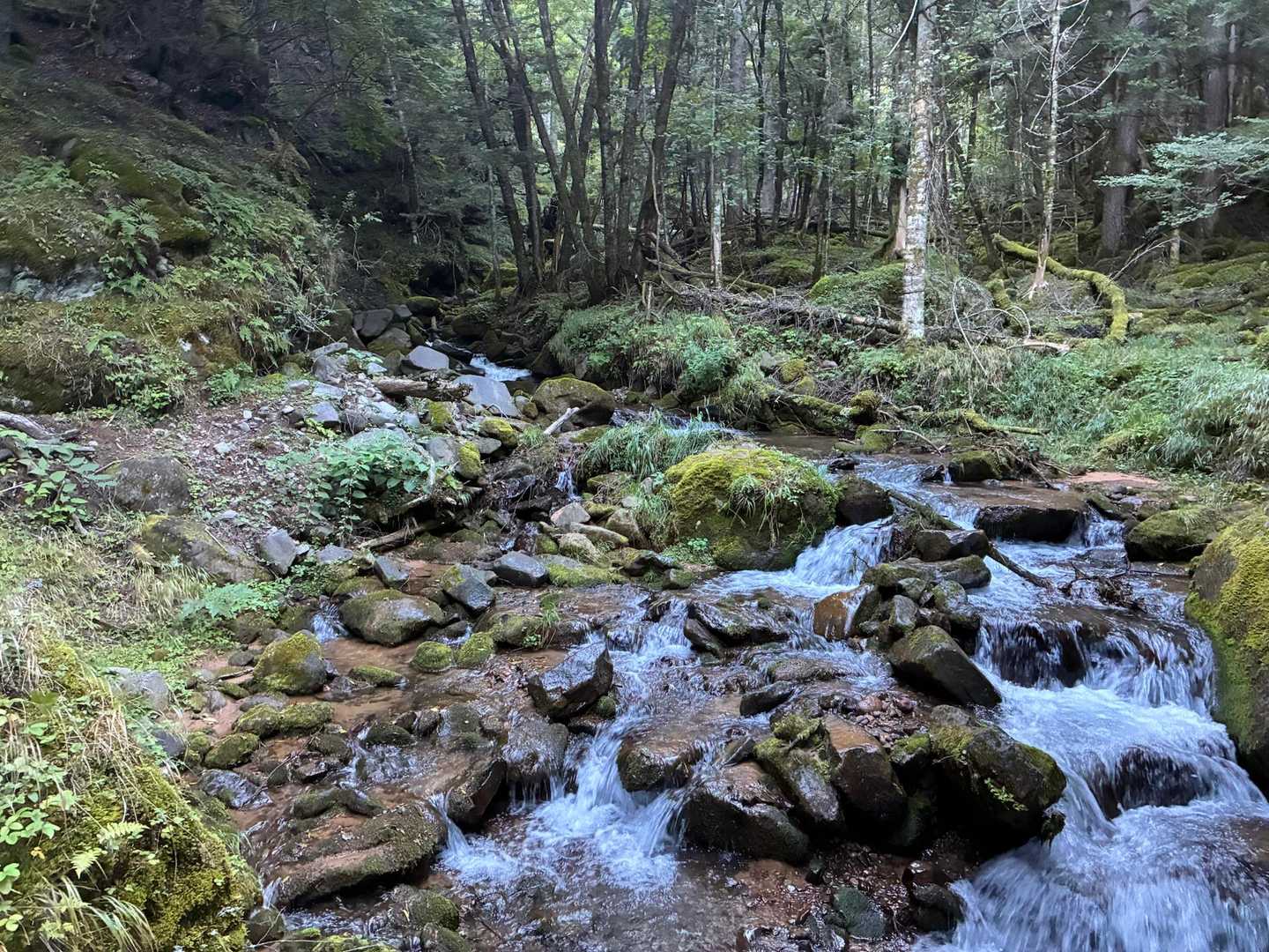 山旅は水と共にあり、沢に導かれて始まり、沢に還って終わる。そうです🙃