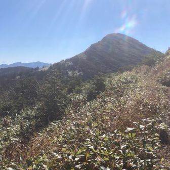 振り返ると笠ヶ岳
さっきと違うやん
別人格