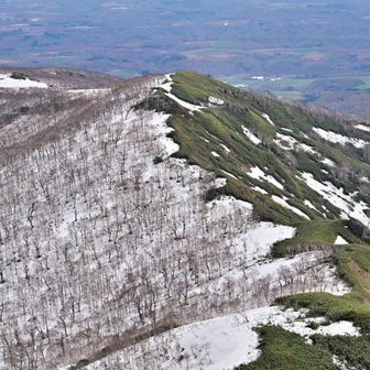 雪が繋がっているなら行けるのでは？ということで、ここから東昆布岳へ寄り道開始です😆