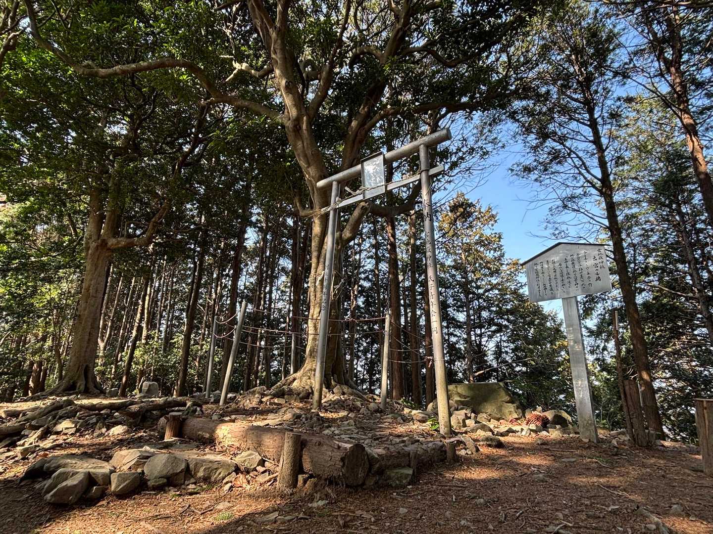 宮地山山頂