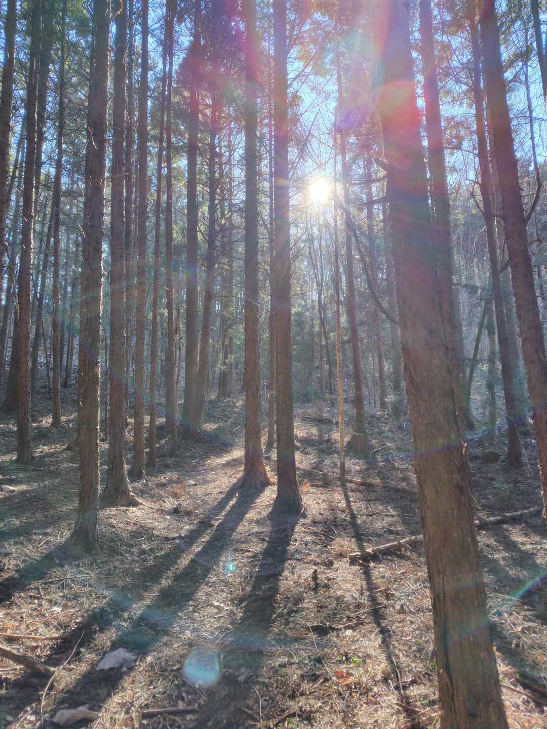 檜山 往復コースの写真
