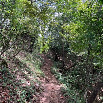 所々岩・石もあるけど、歩きやすい所が多いです