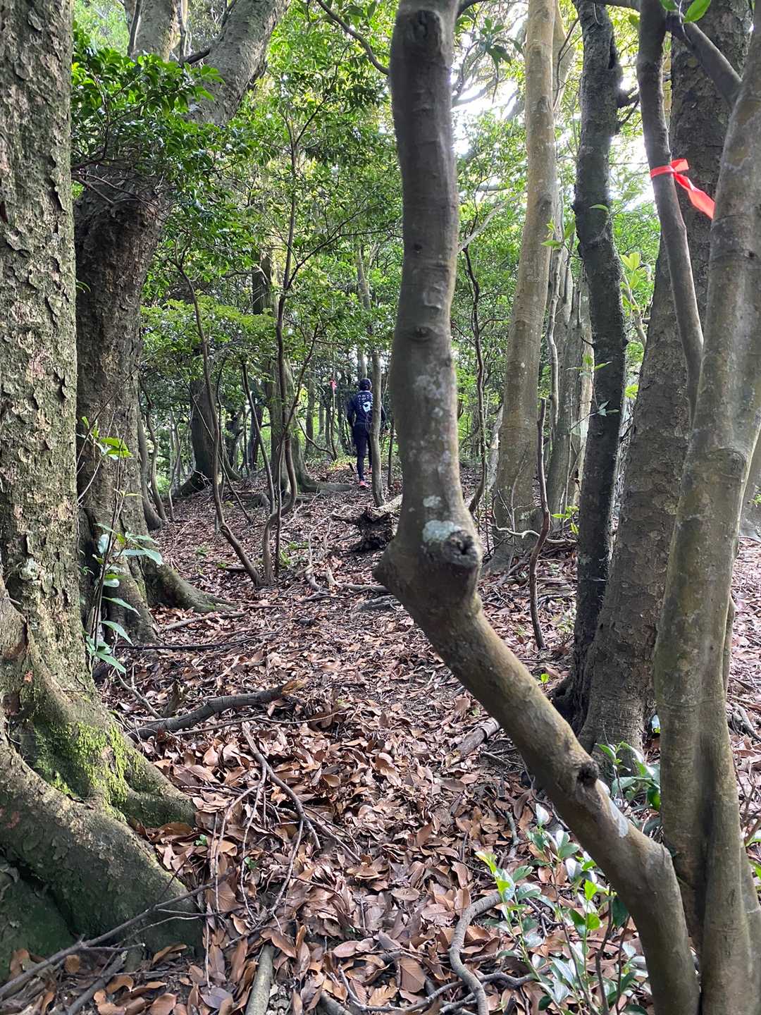 ピンクテープに助けられ前に進めました。