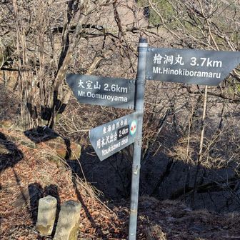 2時間ほど登って、犬越路に到着。避難小屋で少し休憩しました