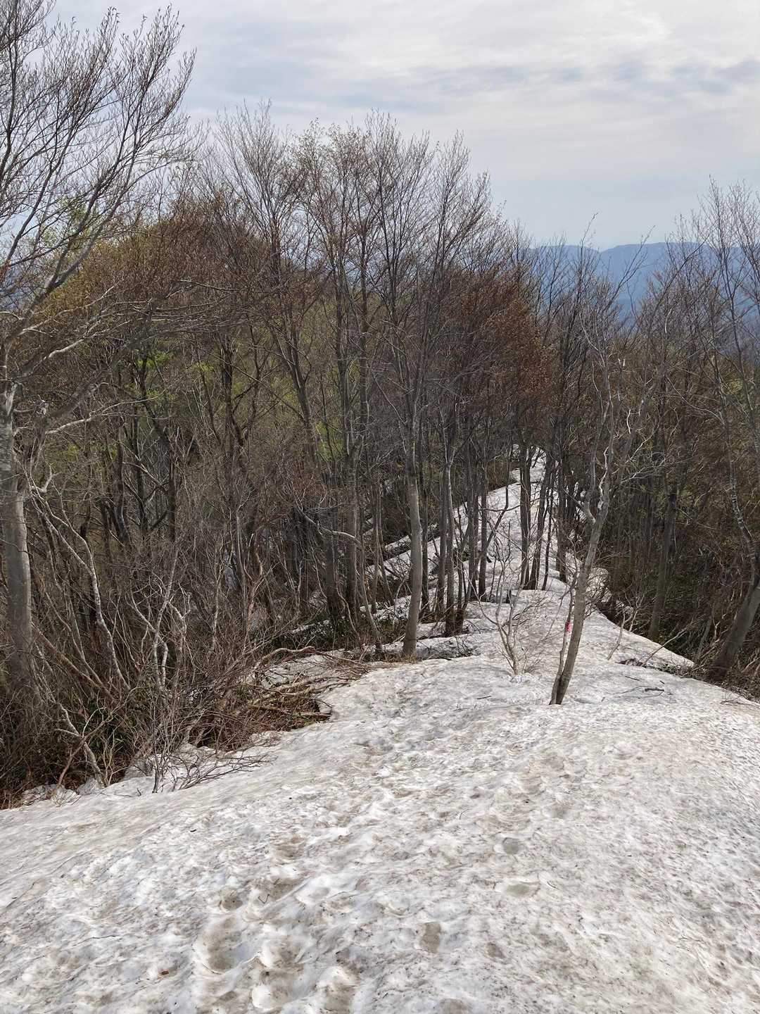 【周】白山（黄金の里会館駐車場）<尾根線コース・田村 線コース>の写真