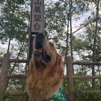 ついたよー