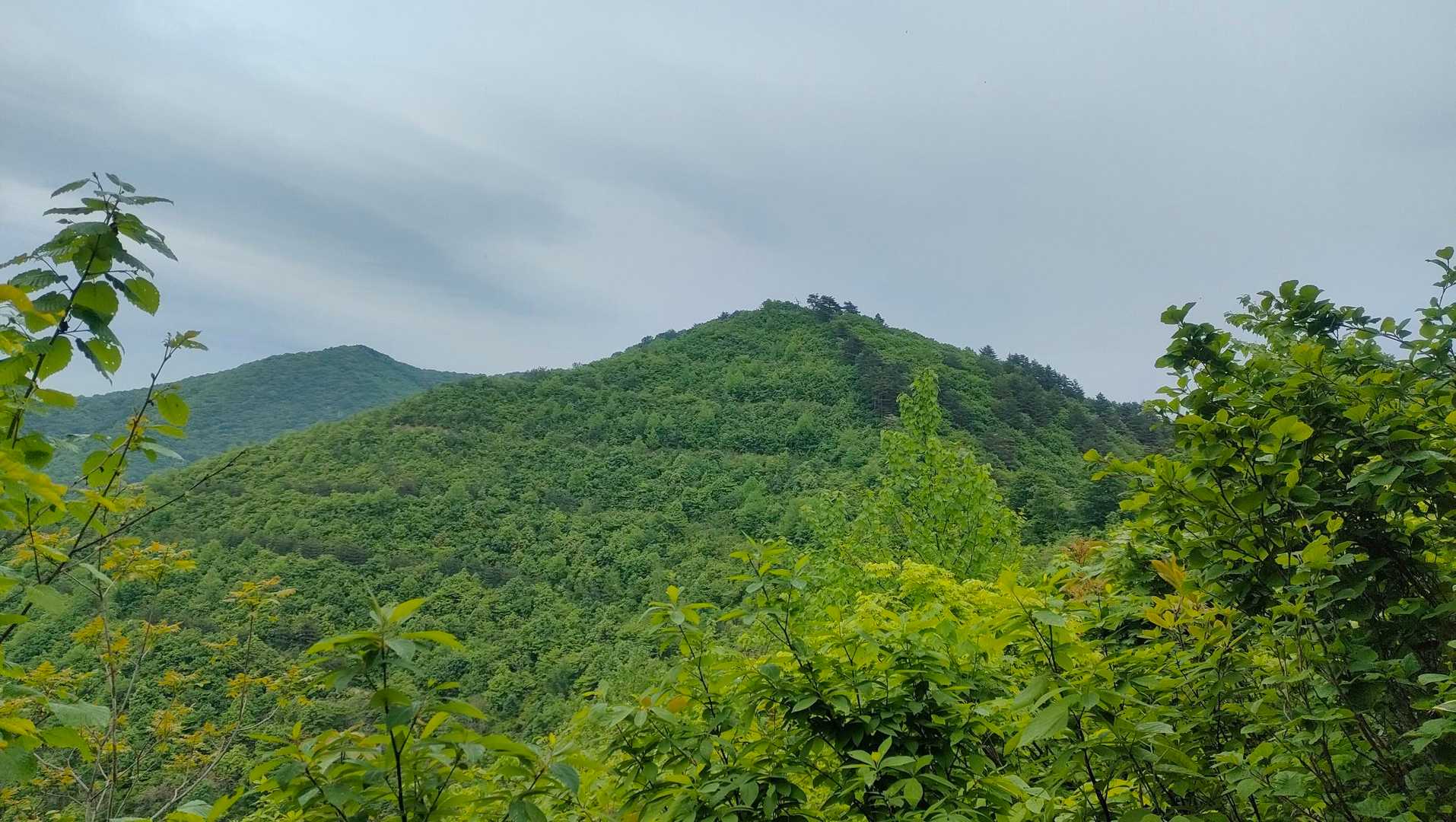 下山途中で山頂を振り返る🏔️
またお邪魔しますね✌