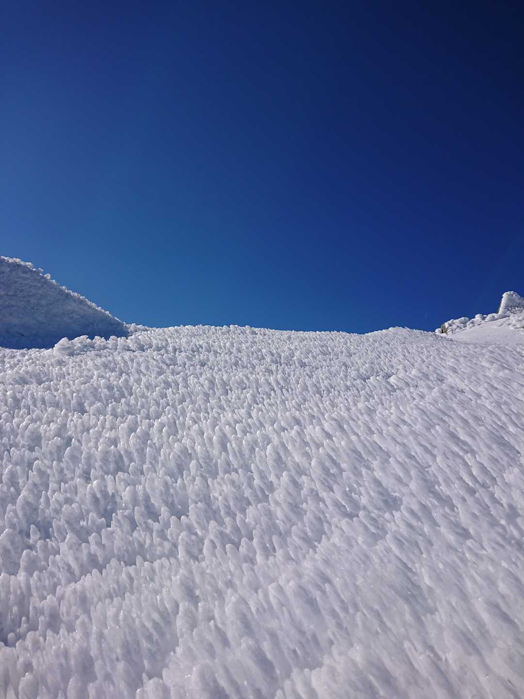 ころもが凄い
ハイカロリーな山。