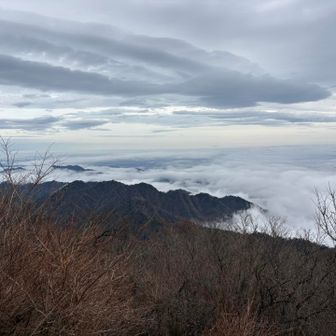 こちらも雲海最高〜👍