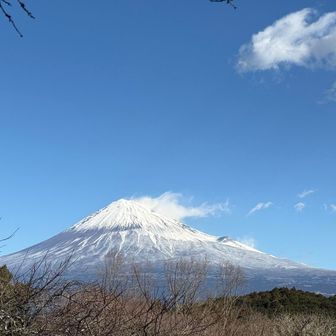 確かにどうして、あそこだけ雪がないんだろう？