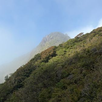 ガスが抜けて青空と東峰が見えた