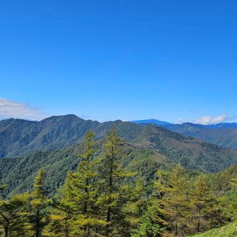 飛龍山方面✨
前飛龍、飛龍は格好良い❗
以前は周回したけど今日はピストン😅

奥は国師ヶ岳かな⛰️