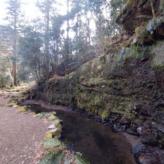 まずは千条の滝に
水が流れていたら涼しげなんだろうな