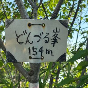 頂上到着