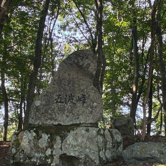 下山してきました。
登山口&駐車スペースがある五波(ごなみ)峠の石碑🪨