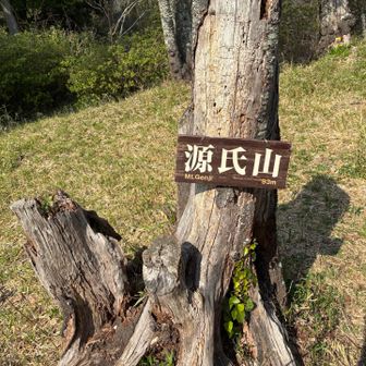 静かで平和そのもの
鳥のさえずり