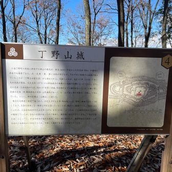 丁野山城クリア3座目岡山クリア