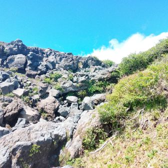 すごーい❗️まぼろしの滝🥹
写真ではうまく写っていないのが残念。
帰路は水が流れておらず、この瞬間にリベンジできたことに感謝♡