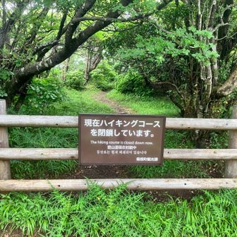 大涌谷方面は火山活動のため閉鎖中、当面開くことは無さそう⤵️