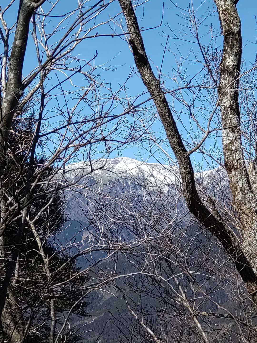 葛原山の山頂からの笹ヶ峰。