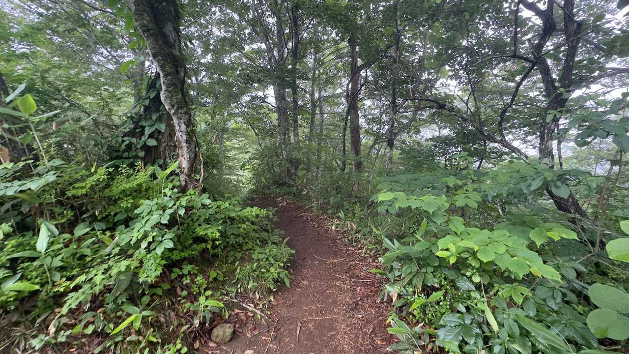 谷川岳（トマの耳・オキノ耳） via 西黒尾根 の写真 3