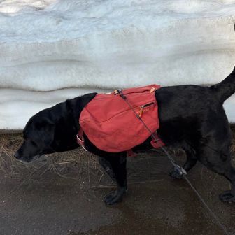 駐車場から少し歩いて