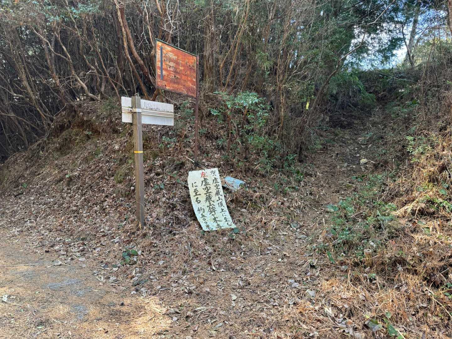 林道歩いてここから登山道