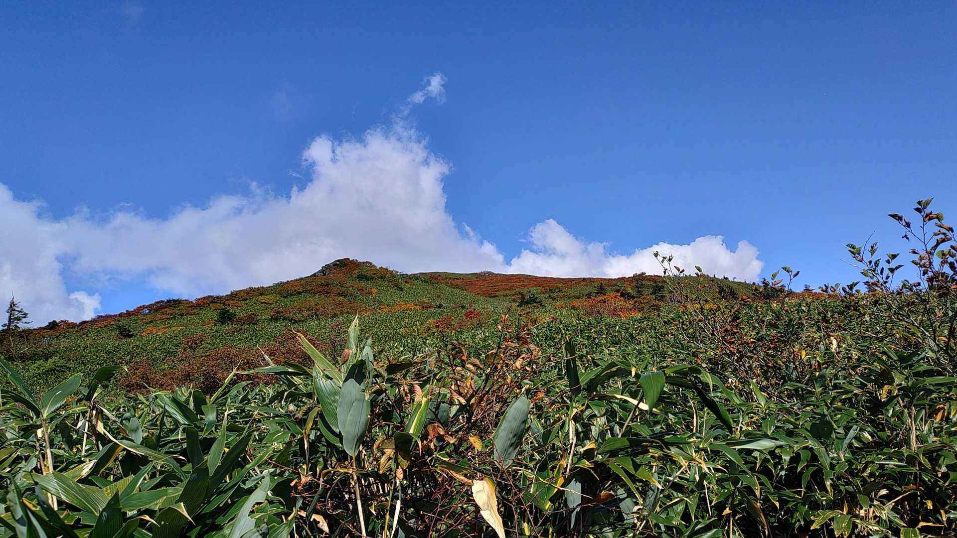 山頂見えてます😃