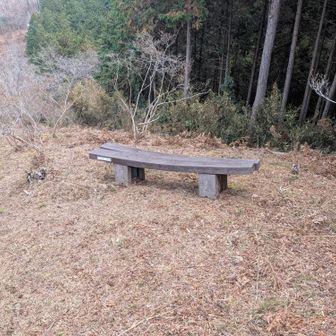 登山道も緩やかだし、ここの展望台までの間にはベンチがところどころにあるので、本当に手軽に登れますね