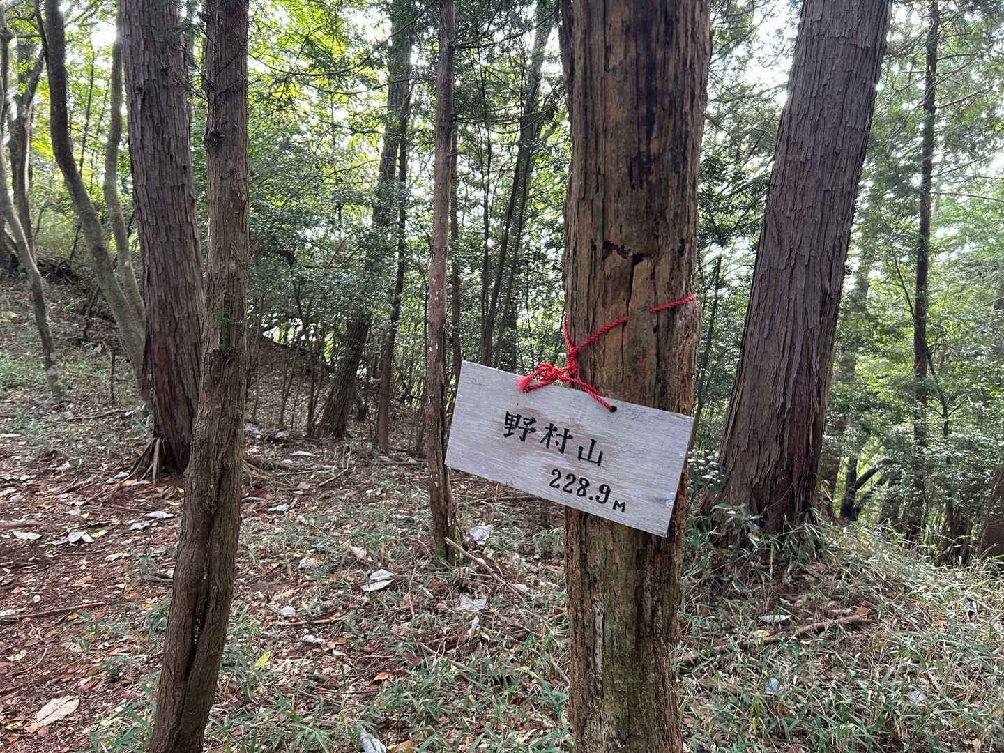 野村山-野村坂-大谷山 周回コースの写真