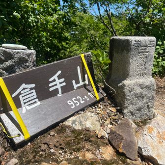 山ちょ着