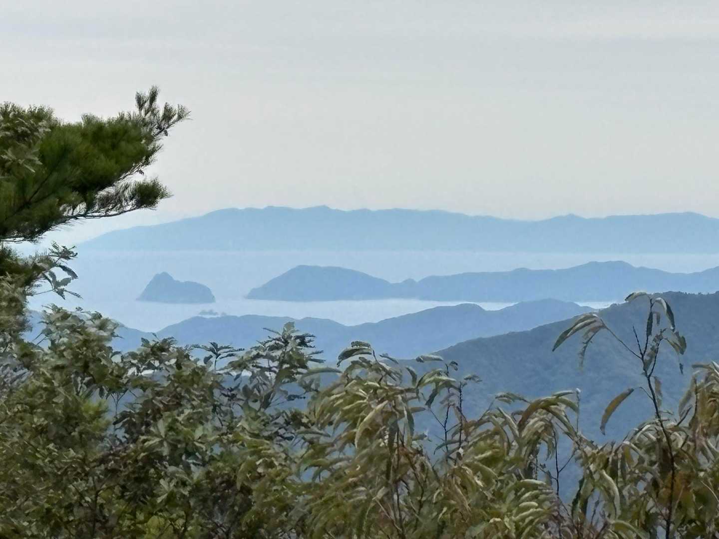 八ヶ峰 往復コースの写真