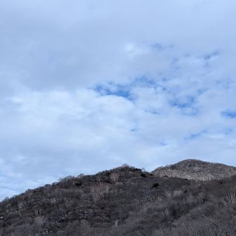 荒山高原より。山肌の木々の葉が落ちて、白い幹が見えます。冬は小さな起伏が見えて、歩いていておもしろいです🐾