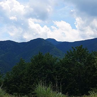 長尾平のヘリポートから大岳山方面