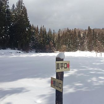 家を出る時、空は鉛色、雨が降ってましたが…