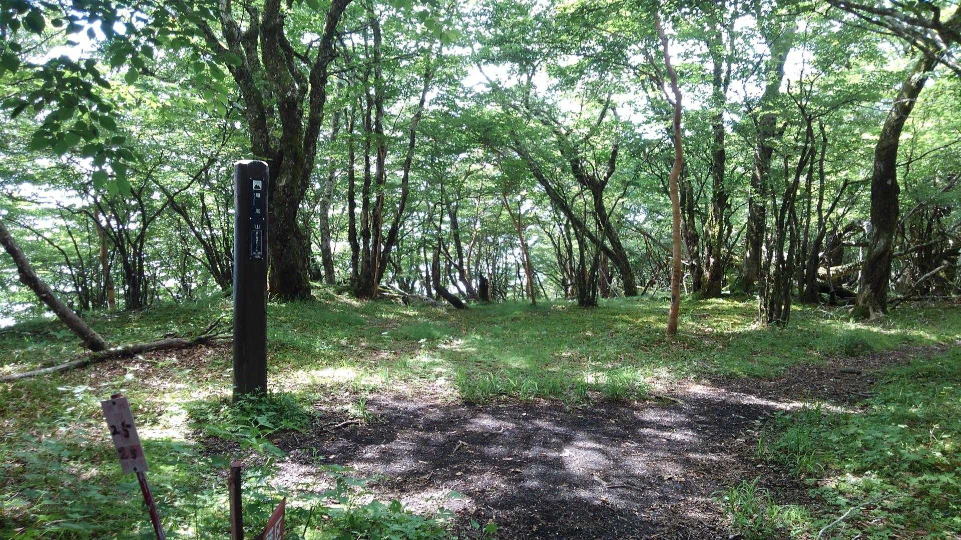 まだ先へ🚶‍♀️