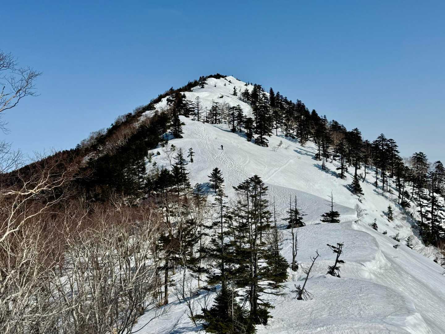 最後の登りです。