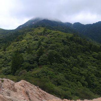 晴れてきた