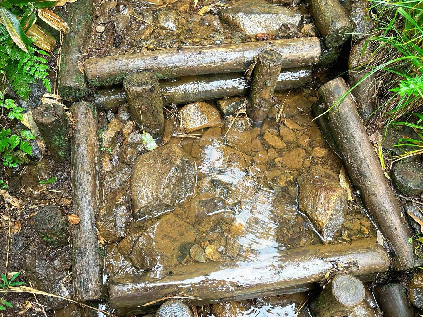 登山という名の沢登り
整備されてんだかされてないんだか分からない