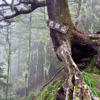 下山途中、燕頭山(つばくろあたまやま・2105m)。