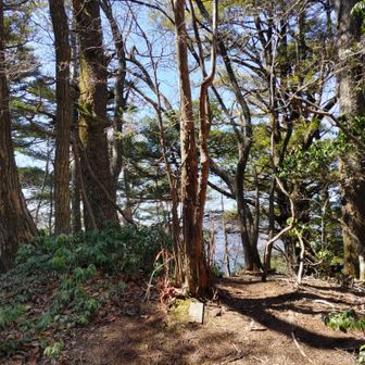 後から写真に偶然看板が写っていたようですｗ