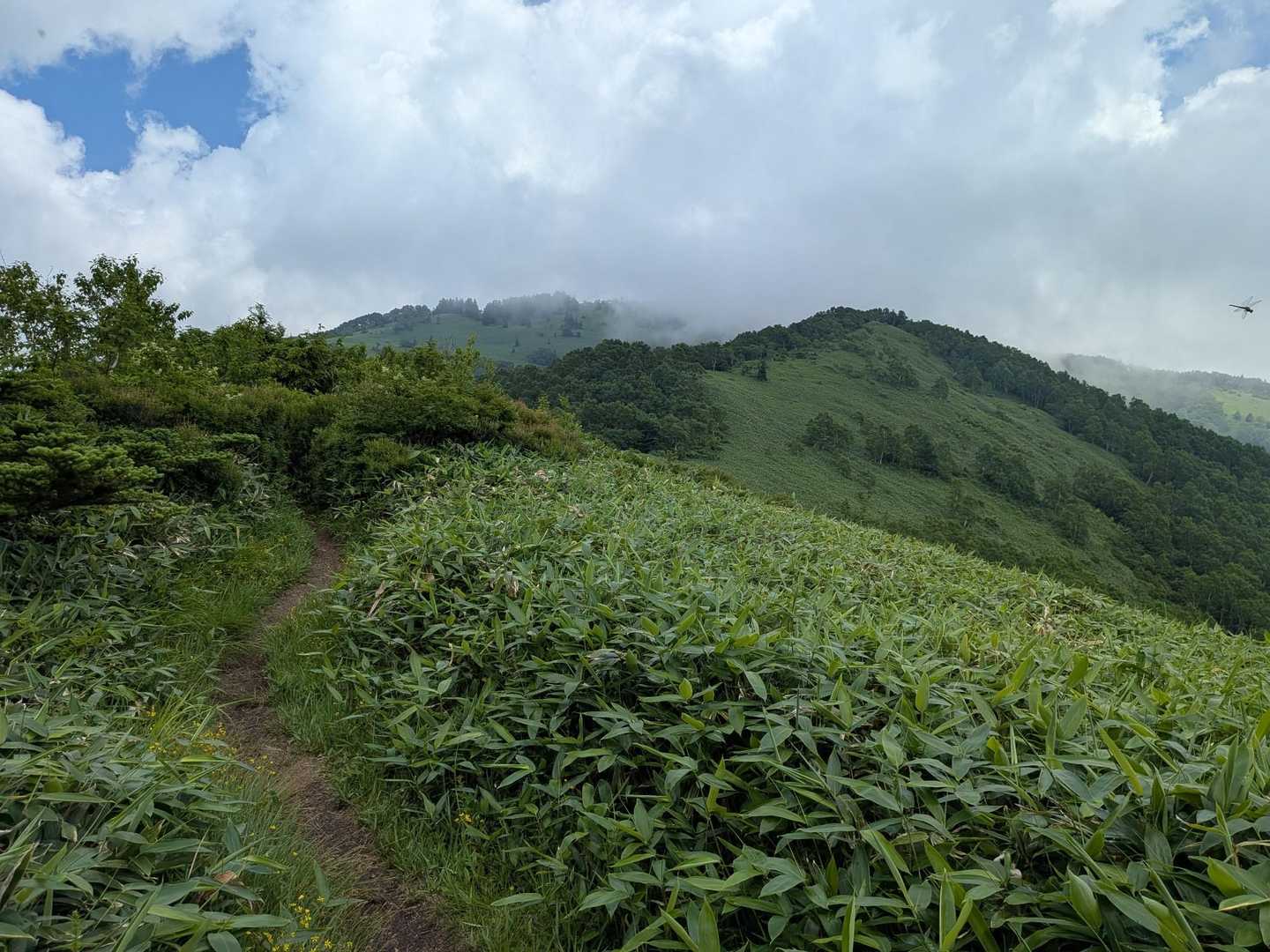 富士見峠-八間山 往復コースの写真