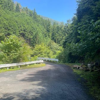 舗装路へ鞠子橋が見えます。