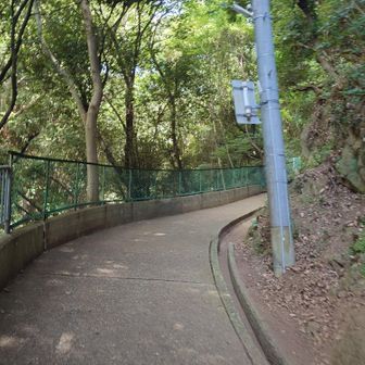 入口付近